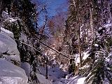 Devils Gulch 01 : America, Devil's Gulch, Landscape, Snowshoeing, USA, Vermont, Winter