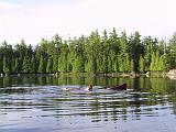 Weller Pond 23 : Fuessen