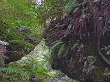 Australia 018