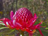 Australia 020