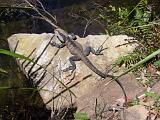 Australia 024