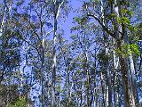 Australia 025