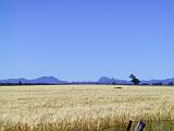 Australia 033