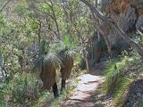 Australia 042