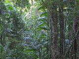 Australia 057