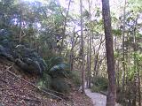 Australia 066
