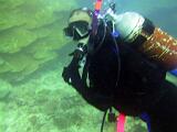 Australia 138
