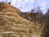 E Fraser Island 14