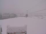 North Williston Road 003 : Fuessen