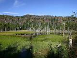 Belvidere Fall 057