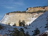 Zion 005