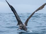 Antarctica 119
