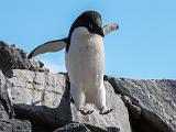 Antarctica 212