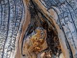 Great Basin 016
