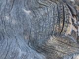 Great Basin 017