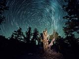 Great Basin 049