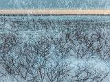 Hudson Bay 035