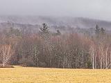 Vermont 019