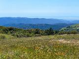 Russian Ridge 003