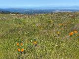 Russian Ridge 004