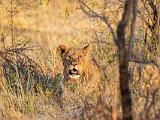 Botswana 048