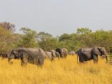 Botswana 097