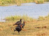 Botswana 157