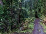 B Russian Gulch State Park 001