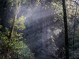 B Russian Gulch State Park 002
