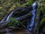 B Russian Gulch State Park 007
