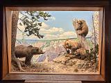 B AMNH 011