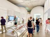 Met Museum 008