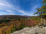 Foliage 013