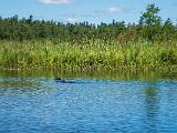 Weller Pond 009
