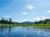 Weller Pond 014