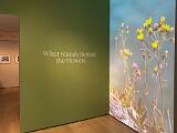 MoMA 002