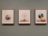 MoMA 007