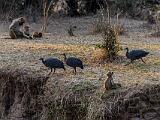Zambia 025