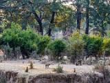 Zambia 026