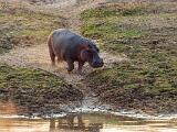 Zambia 035