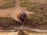 Zambia 036