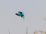 Zambia 051