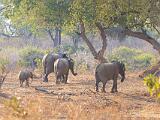 Zambia 058
