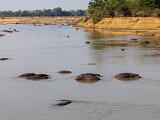 Zambia 138