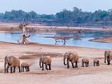 Zambia 151