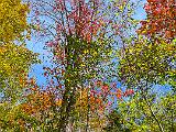 Vermont 017