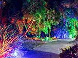 Lights 003