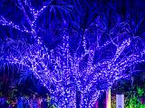Lights 005