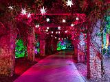 Lights 006