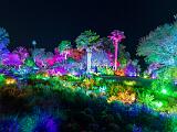 12-A Night Lights Botanical Garden